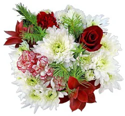 Bloom Haus Festive Flurries Fresh Cut Flower Bouquet