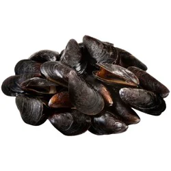 Live Cultured Black Mussels Fresh