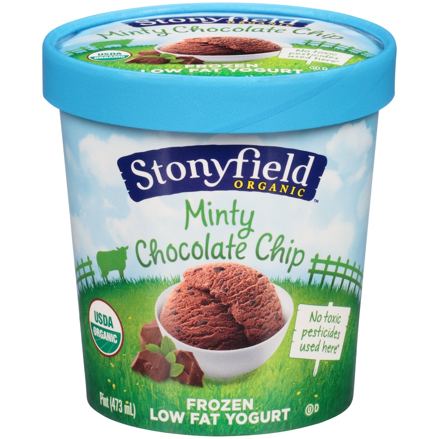 slide 1 of 6, Stonyfield Farm Organic Frozen Yogurt Low-Fat Minty Chocolate Chip, 16 oz