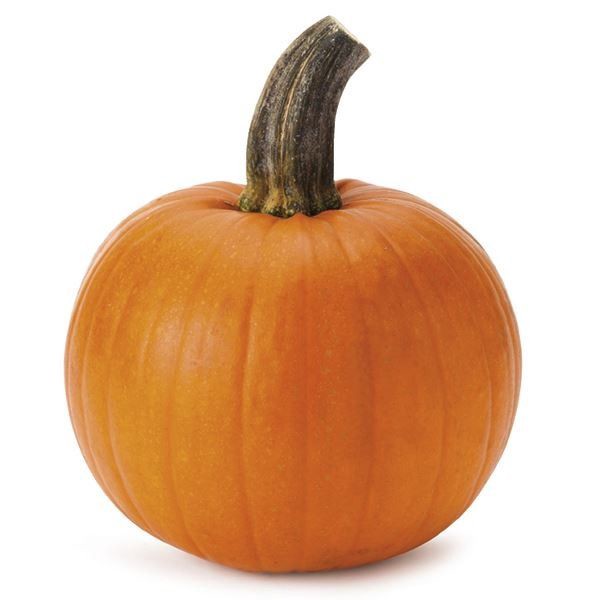 slide 1 of 1, Pie Pumpkins, 1 ct