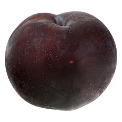 Black Plum