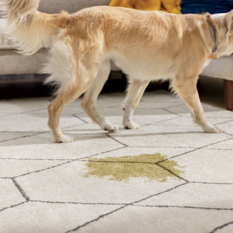 slide 7 of 7, Woolite Fresh Fabric Cleaner - 12oz, 12 oz