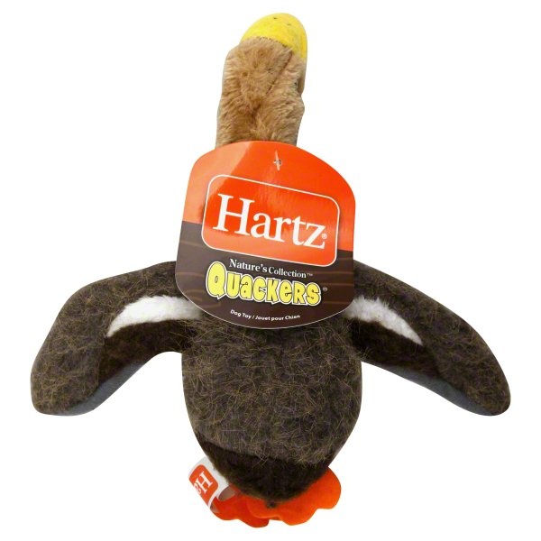 slide 1 of 1, Hartz Nature's Collection Quackers Green & Tan Small Dog Toy, 1 ct