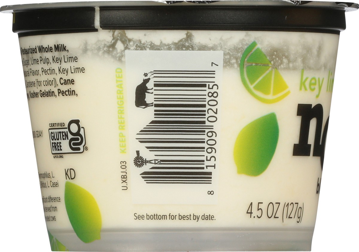 slide 2 of 9, noosa Yoghurt, Key Lime, 4.5 oz, Whole Milk Yogurt, Grade-A Pasteurized, Gluten Free, Probiotic, Made With the Finest Quality Ingredients, 4.5 oz