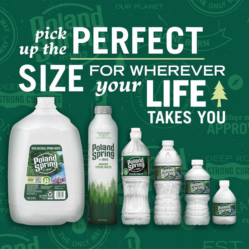 slide 6 of 10, Poland Spring Brand 100% Natural Spring Water - 12pk/12 fl oz Bottles, 12 ct; 12 fl oz