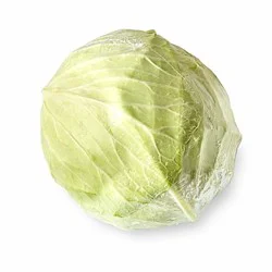 Organic Green Cabbage