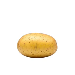Russet Potato