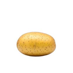 Russet Potato