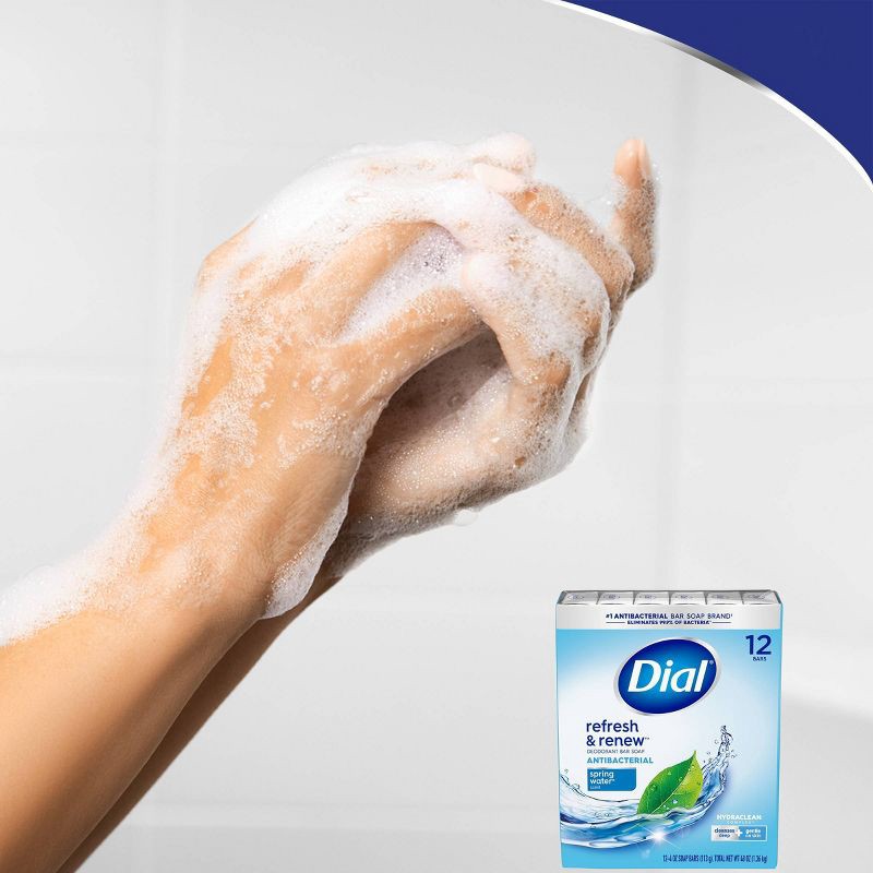 slide 5 of 6, Dial Antibacterial Deodorant Spring Water Bar Soap - 12pk - 4oz each, 12 ct; 4 oz