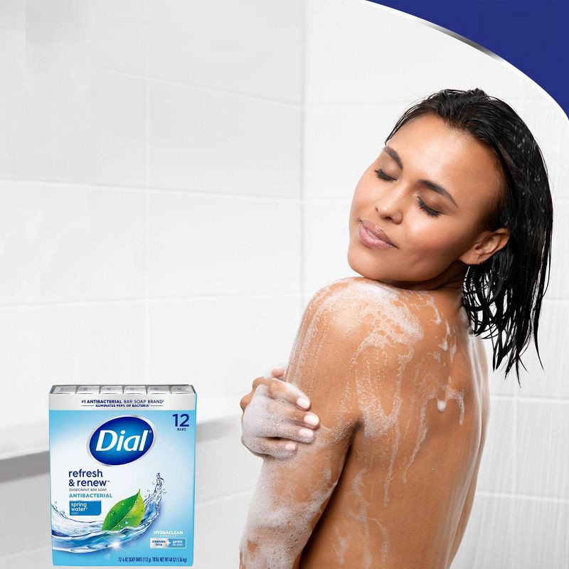 slide 6 of 6, Dial Antibacterial Deodorant Spring Water Bar Soap - 12pk - 4oz each, 12 ct; 4 oz