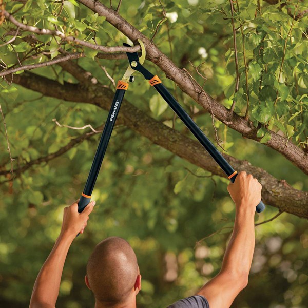 Fiskars 3pc Tree & Shrub Care Set 3 ct Shipt