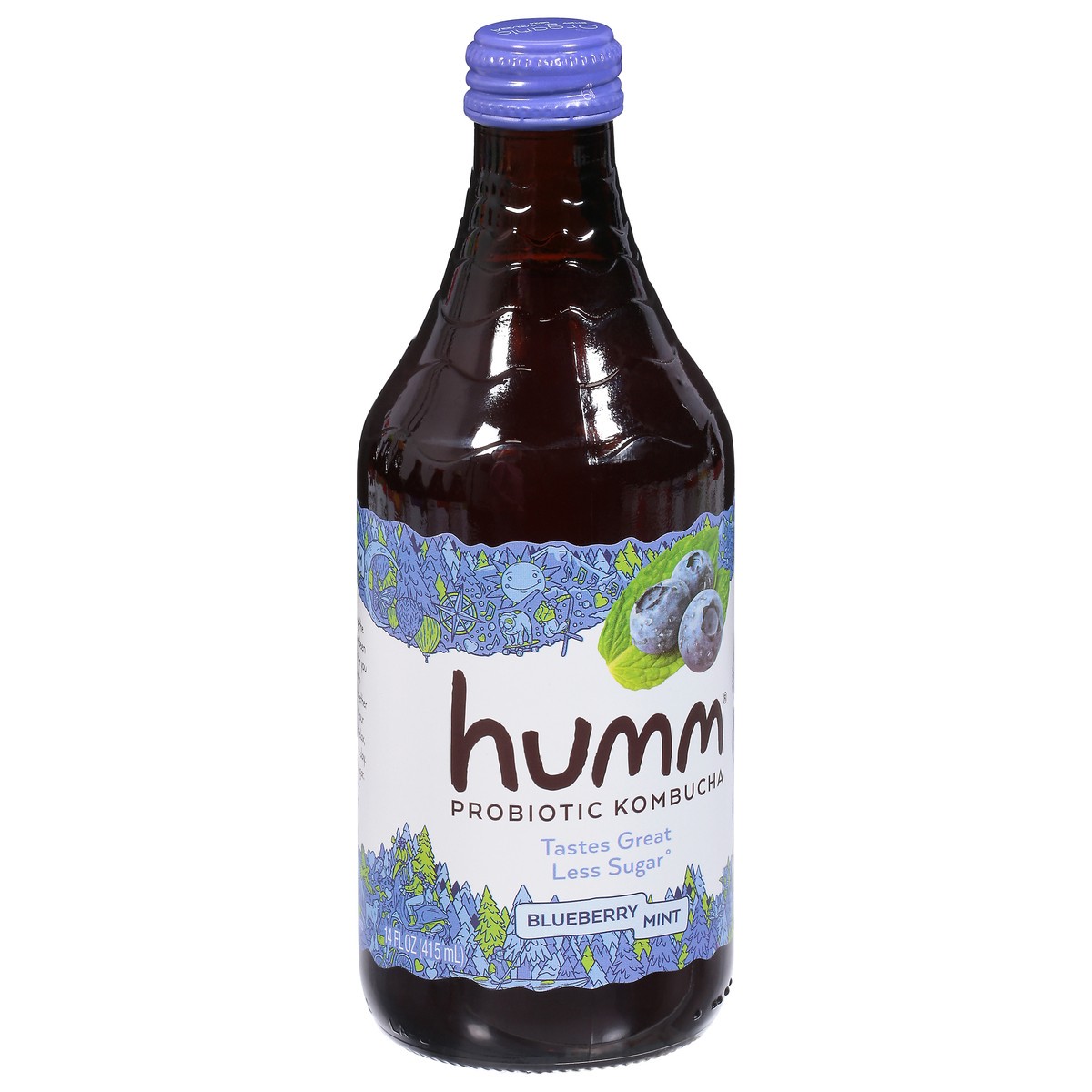 slide 7 of 9, Humm Blueberry Mint Kombucha - 14 oz, 14 oz