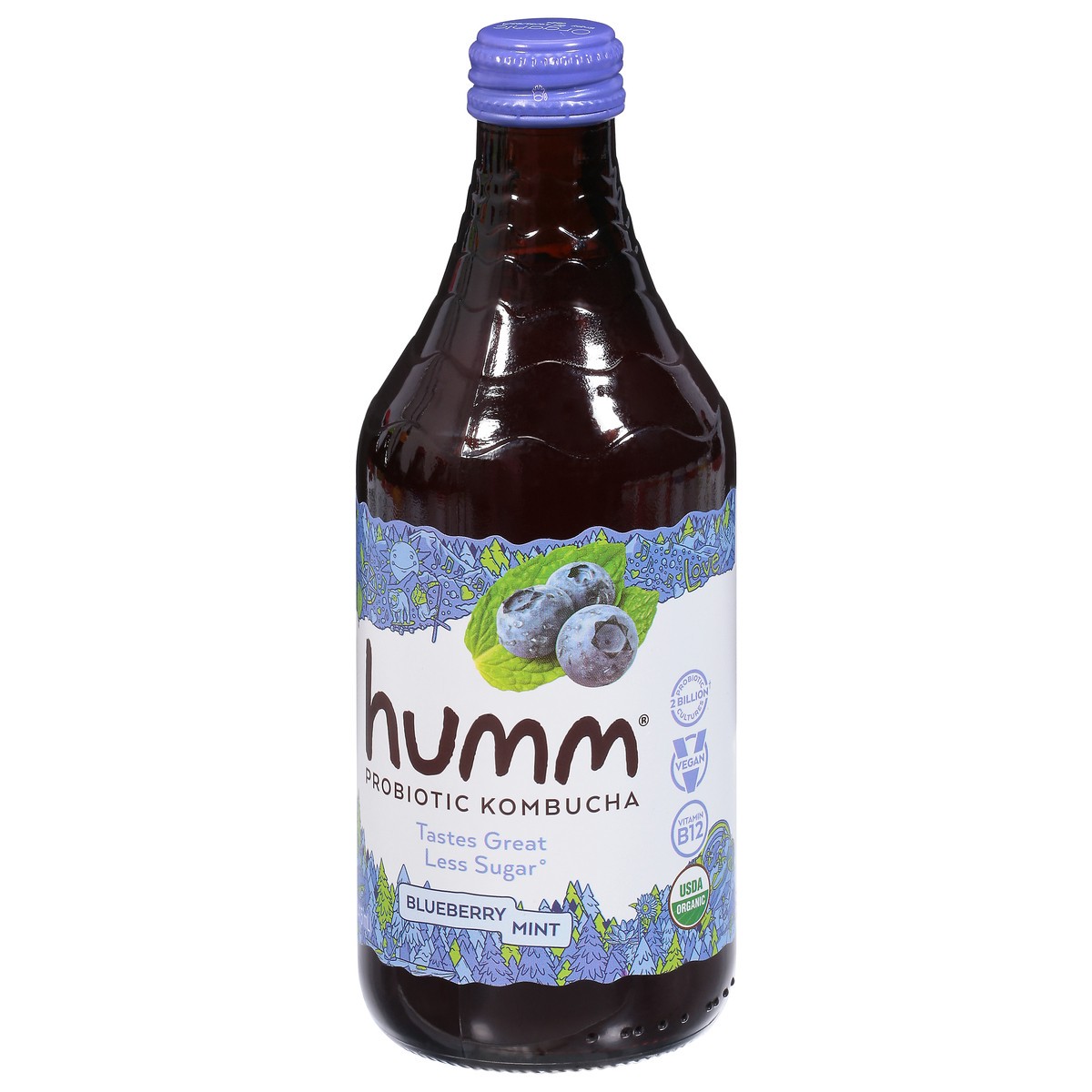 slide 9 of 9, Humm Blueberry Mint Kombucha - 14 oz, 14 oz