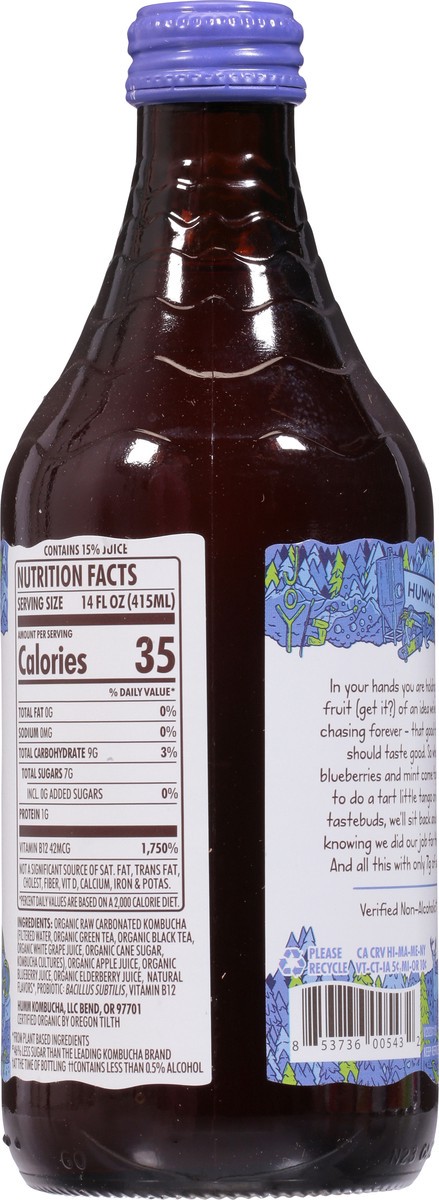 slide 8 of 9, Humm Blueberry Mint Kombucha - 14 oz, 14 oz