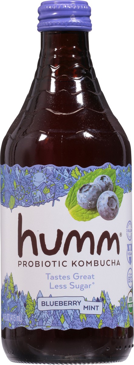 slide 6 of 9, Humm Blueberry Mint Kombucha - 14 oz, 14 oz