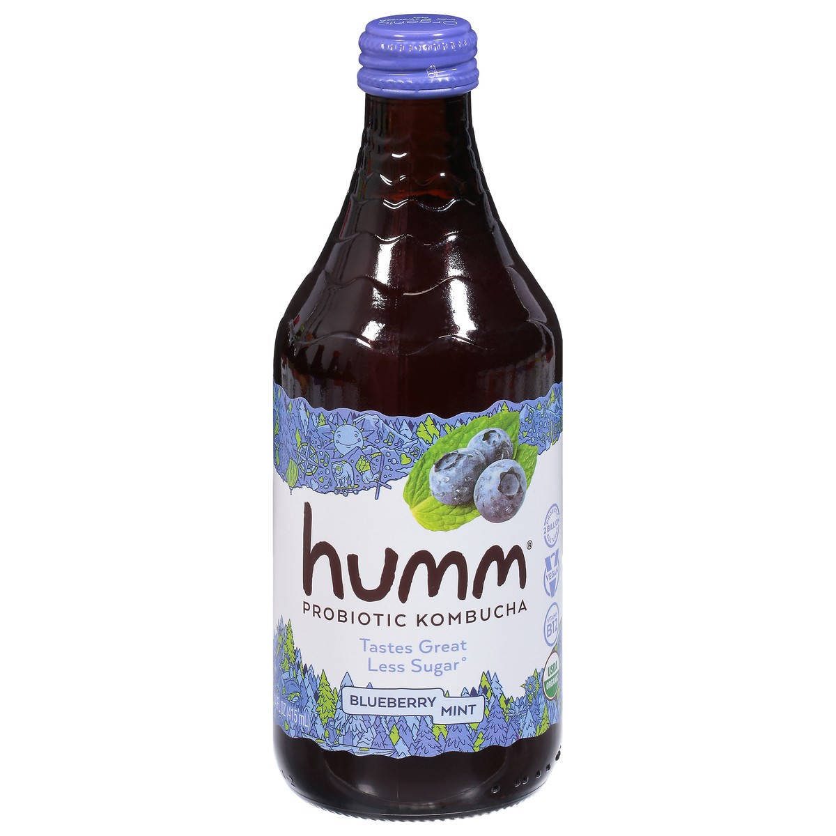 slide 1 of 9, Humm Blueberry Mint Kombucha - 14 oz, 14 oz