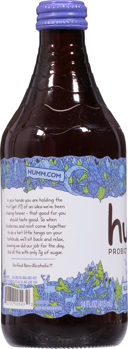 slide 5 of 9, Humm Blueberry Mint Kombucha - 14 oz, 14 oz