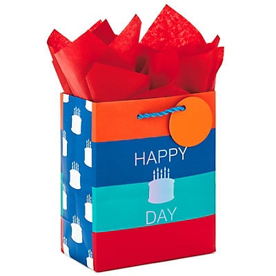 slide 1 of 1, Hallmark Small Gift Bag With Tissue Paper For Birthdays (Happy Cake Day), 1 ct