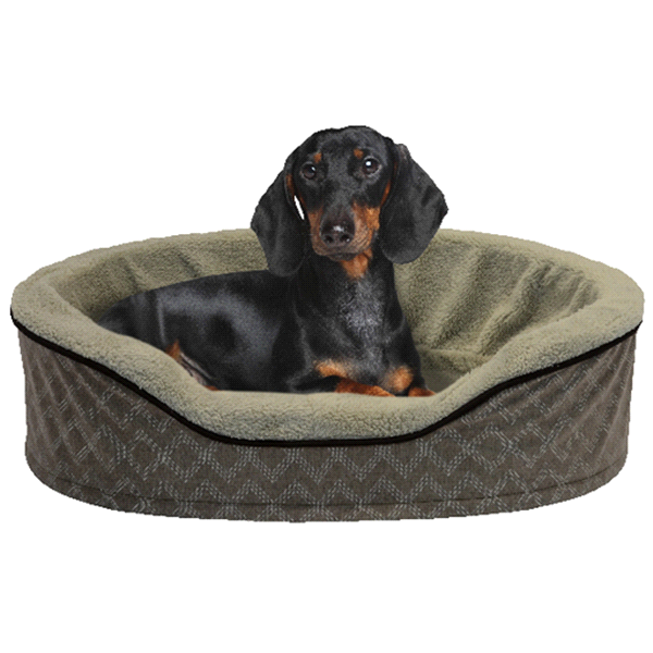 slide 1 of 1, Meijer Oval Pet Bed, 28 in