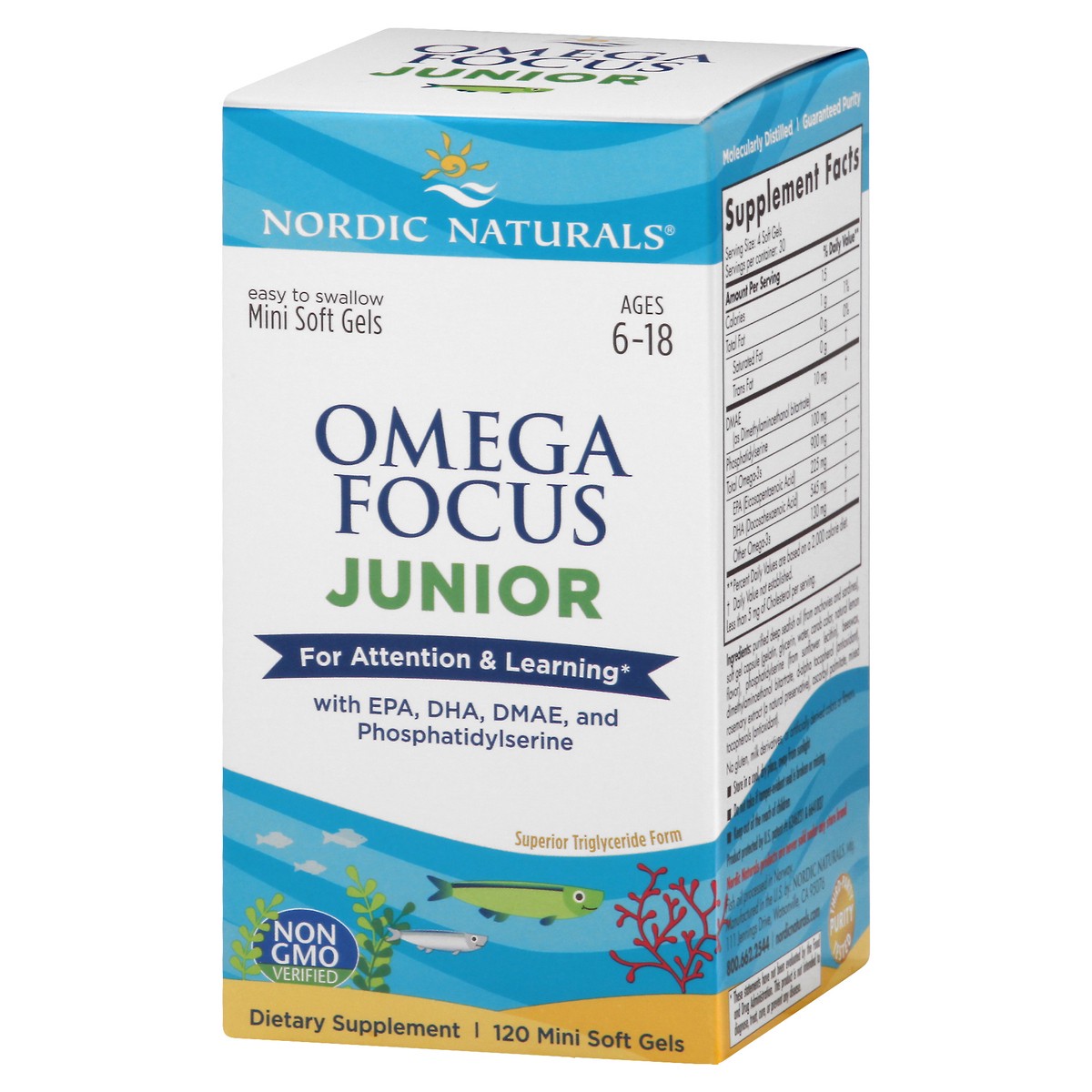 slide 6 of 13, Nordic Naturals Omega Focus 120 ea, 120 ct
