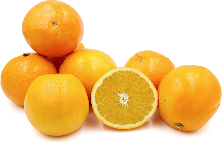 slide 1 of 1, Tropicana Navel Oranges, 1 ct