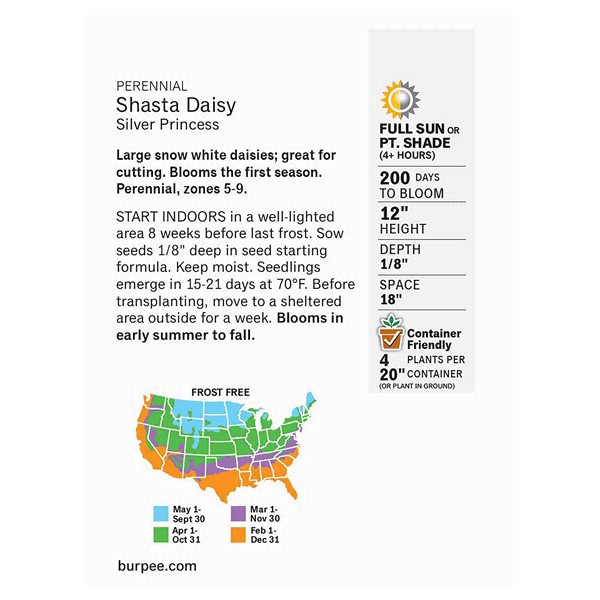slide 4 of 5, Burpee Shasta Daisy Silver Princess Seeds - White/Yellow, 1 ct