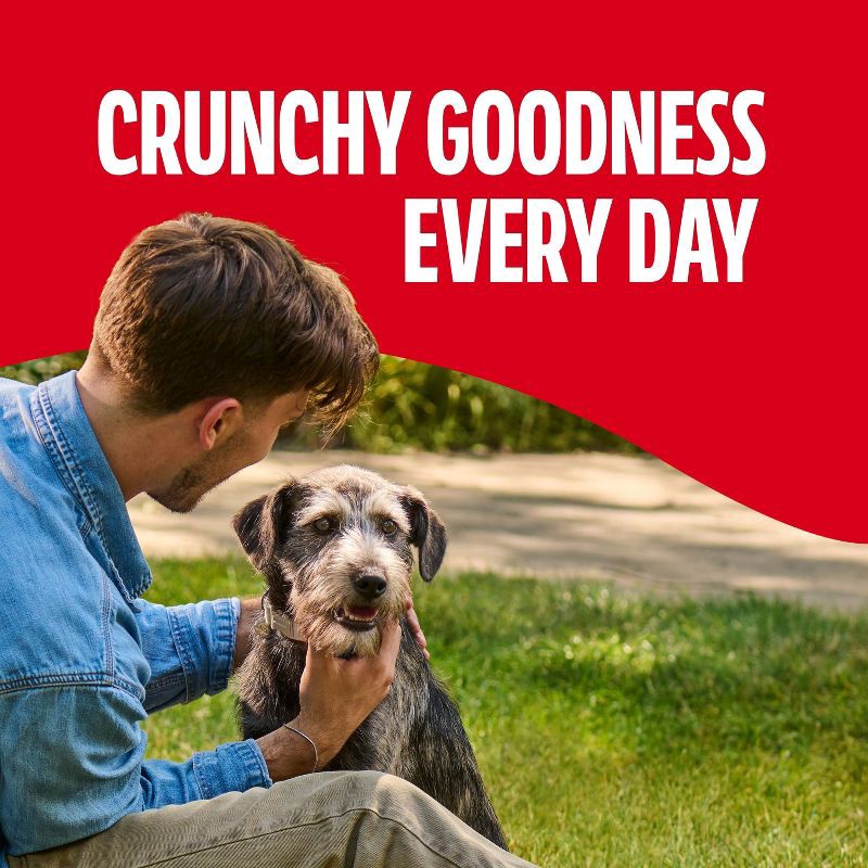 slide 2 of 10, Milk-Bone Biscuits Flavored Medium Dog Treats - 10lbs, 10 lb