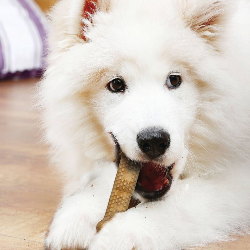 slide 4 of 5, Nylabone Natural Nubz Chicken Flavored Chewy Dental Treats Dog Treats - 12ct, 12 ct