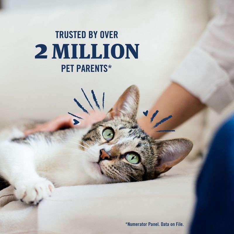 slide 9 of 11, PetArmor Plus Flea and Tick Topical Treatment for Cats - Over 1.5lbs - 3 Month Supply - 0.051 fl oz, 1.5 lb, 0.051 fl oz