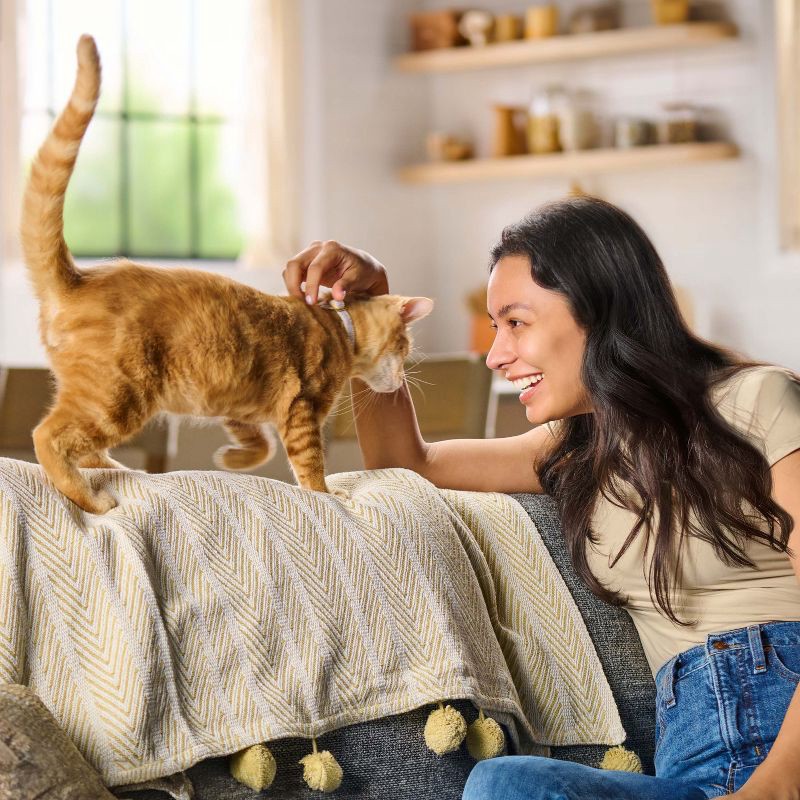 slide 2 of 10, Meow Mix Original Choice with Flavors of Chicken, Turkey, Salmon & Ocean Fish Adult Complete & Balanced Dry Cat Food - 22lb, 22 lb