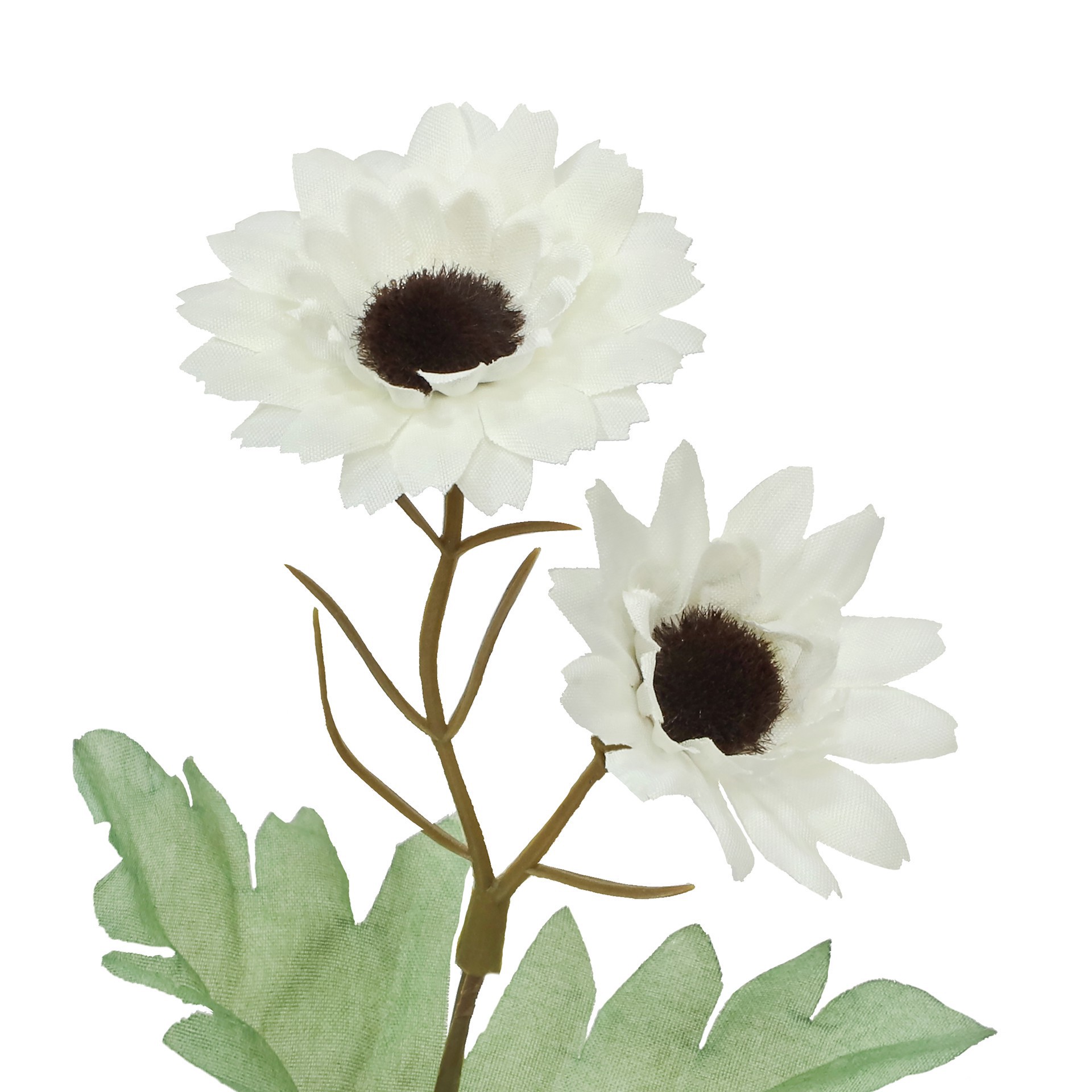 slide 3 of 3, 13.5" White & Cream Daisy Bush By Ashland, 6.5 in x 6.5 in x 13.5 in