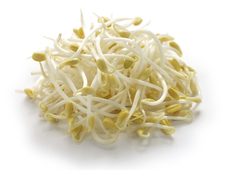 slide 1 of 1, Bean Sprouts, 12 oz