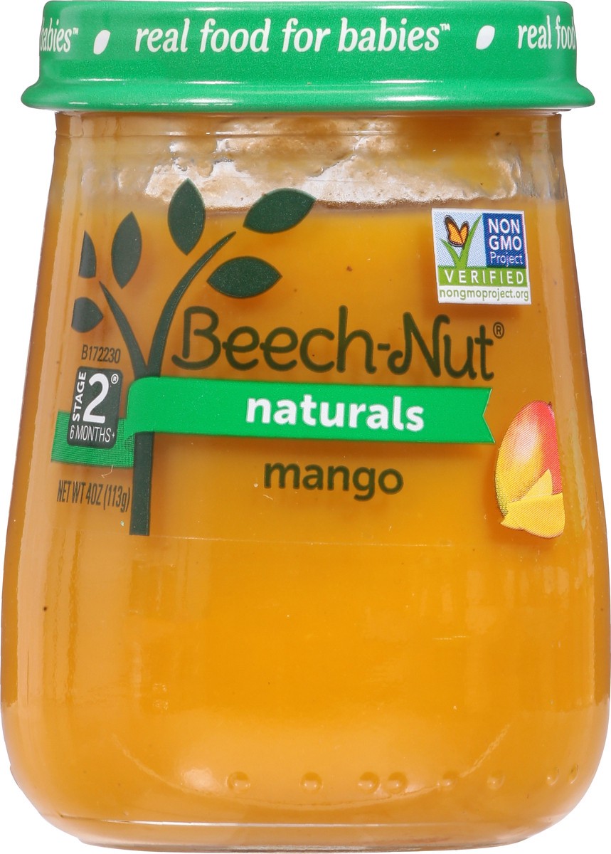 slide 9 of 13, Beech-Nut Naturals Stage 2 Baby Food, Mango, 4 oz Jar, 4 oz
