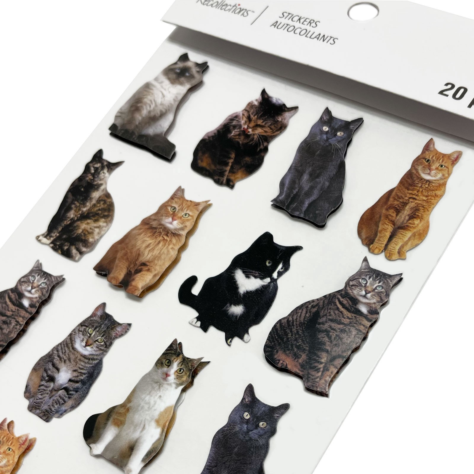slide 5 of 5, Mini Cat Stickers By Recollections, 3.875 in x 6.875 in