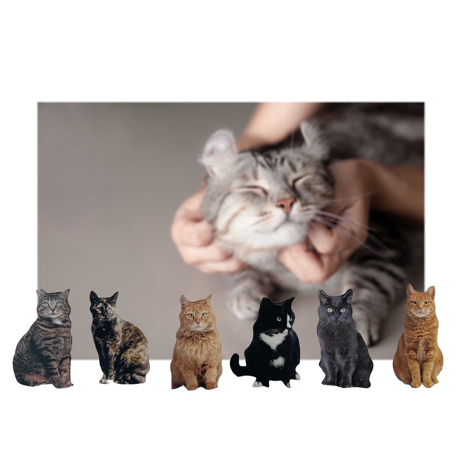 slide 4 of 5, Mini Cat Stickers By Recollections, 3.875 in x 6.875 in