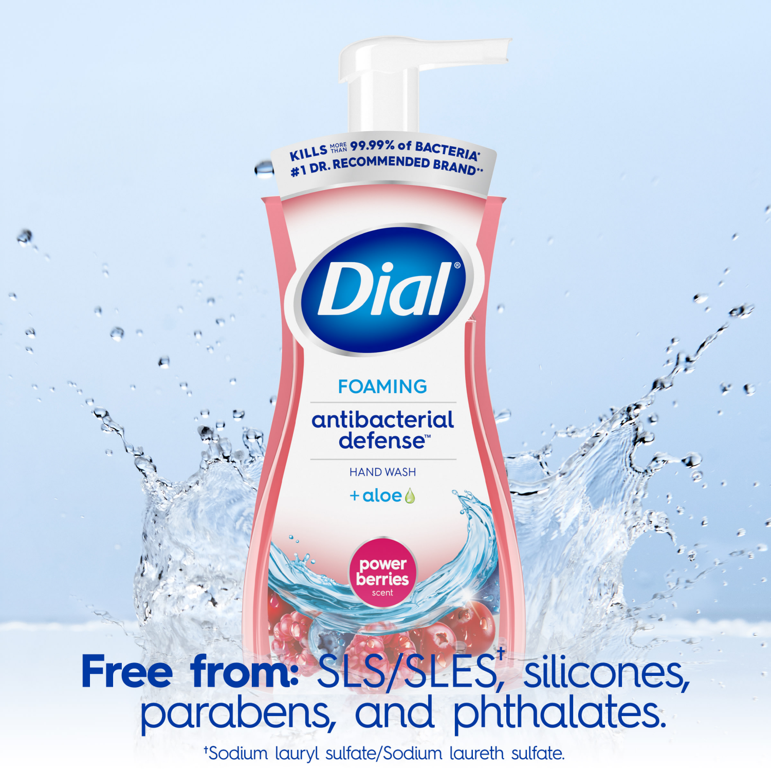 slide 3 of 5, Dial Antibacterial Defense Foaming Power Berries Scent Hand Wash + Aloe 7.5 fl oz, 7.5 fl oz