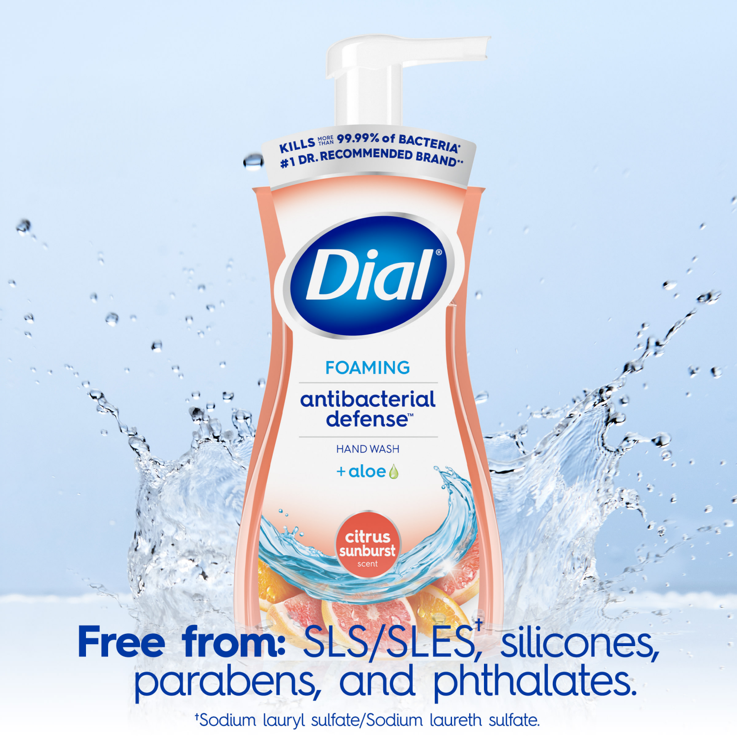 slide 3 of 5, Dial Antibacterial Defense Foaming Citrus Sunburst Scent Hand Wash + Aloe 7.5 fl oz, 7.5 fl oz