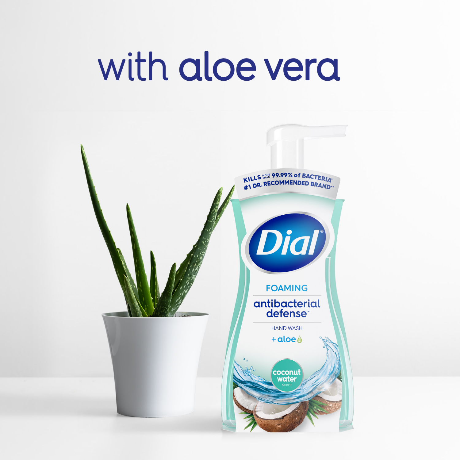 slide 5 of 5, Dial Antibacterial Foaming Hand Wash, Coconut Water Mango, 10 fl oz, 10 fl oz