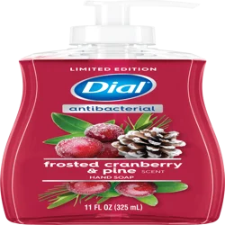 Dial Antibacterial Frosted Cranberry & Pine Scent Hand Soap 11 fl oz
