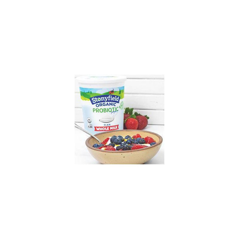 slide 6 of 9, Stonyfield Organic Probiotic Vanilla Whole Milk Yogurt - 32oz, 32 oz