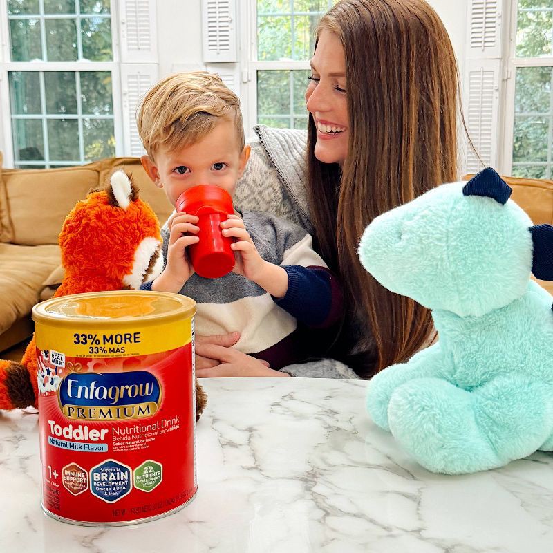 slide 7 of 11, Enfagrow Premium Powder Toddler Formula - 32oz, 32 oz