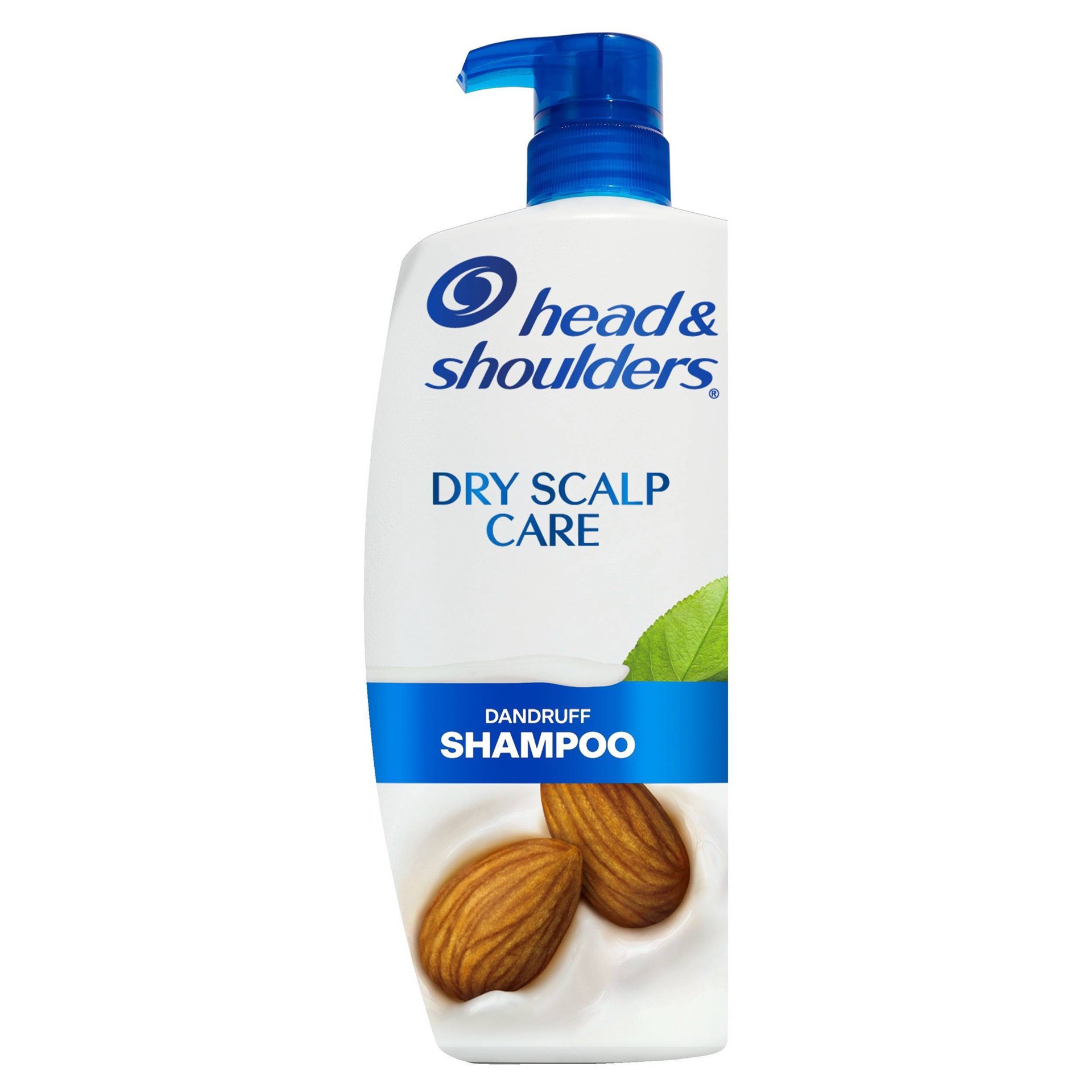 slide 1 of 17, Head & Shoulders Dry Scalp Care Daily-Use Anti-Dandruff Paraben Free Shampoo - 32.1 fl oz, 32.1 fl oz