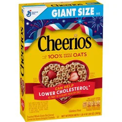 General Mills Cheerios Breakfast Cereal - 20oz