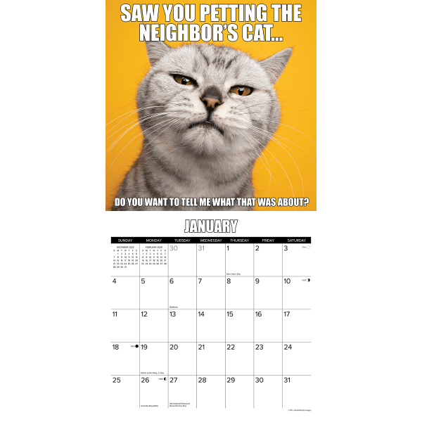 slide 4 of 5, Willow Creek Press 2026 Willow Creek Press Monthly Wall Calendar, 12"" x 12"", Catastrophe, January To December, O50606, 1 ct