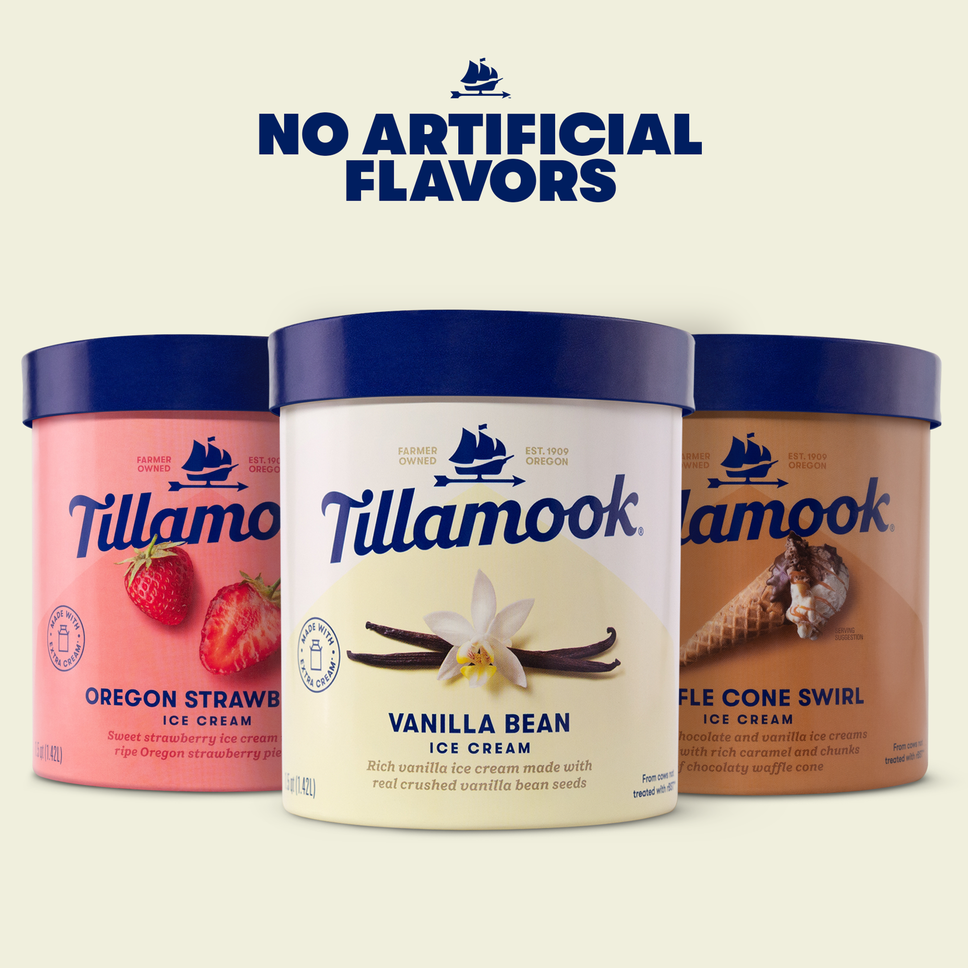 slide 3 of 6, Tillamook Vanilla Bean Ice Cream - 48oz, 48 oz