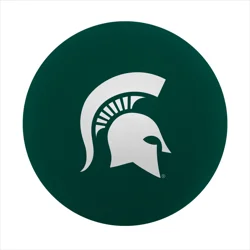 MSU High Bounce Ball