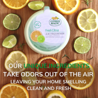 slide 7 of 13, Citrus Magic Fresh Citrus Solid Air Freshener, 1 ct