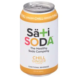 Sati Soda Sati Chili Ginger Soda- 12 fl oz