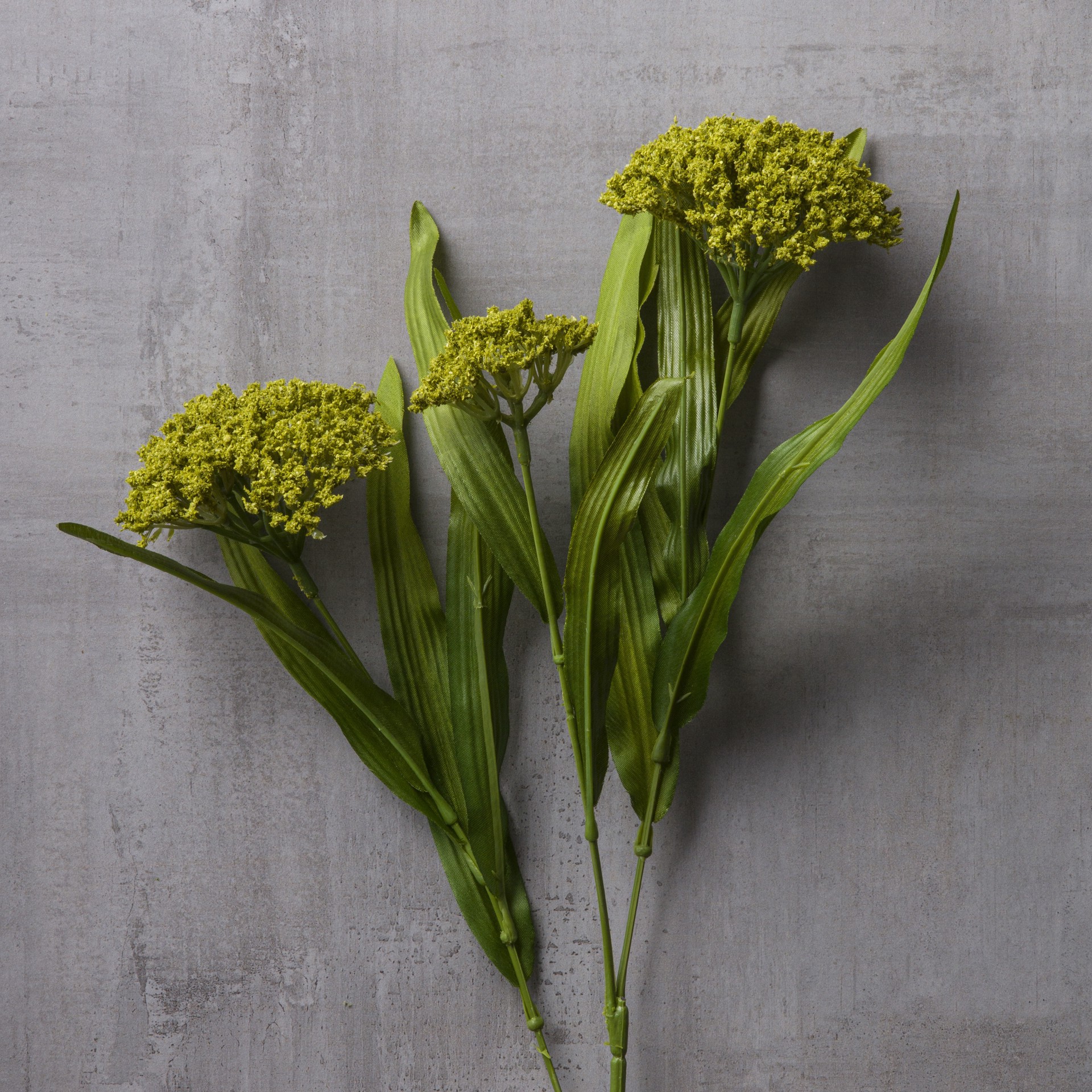 slide 2 of 4, Green Queen Anne's Lace Stem By Ashland, 26.5 in x 5 in x 4.5 in