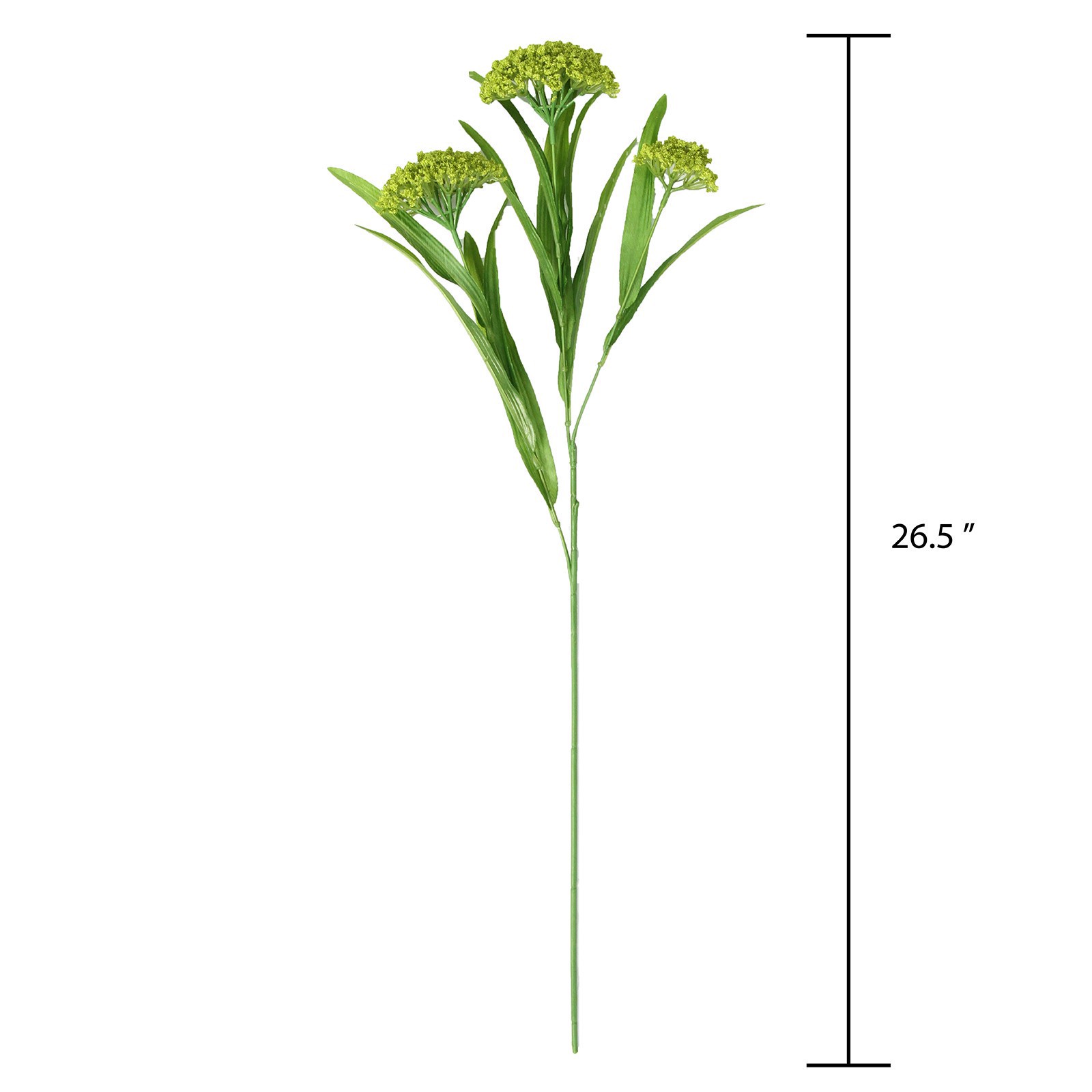 slide 3 of 4, Green Queen Anne's Lace Stem By Ashland, 26.5 in x 5 in x 4.5 in